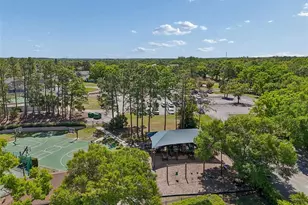 12507 Ashdown Dr, Odessa, FL 33556 - Photo 87