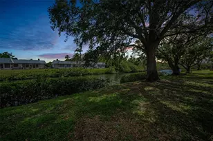 4200 Hampton Dr, New Port Richey, FL 34652 - Photo 3