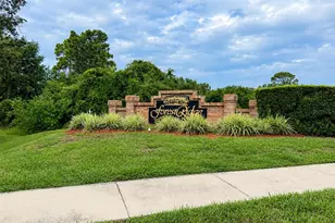 1959 Wood Trail St, Tarpon Springs, FL 34689 - Photo 45