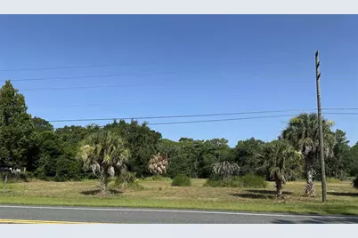 11360 S Florida Avenue, Floral City, FL 34436 - Photo 3