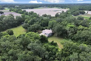 1729 Fats Ln, Seffner, FL 33584 - Photo 7