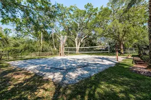 6219 Riviera Ln, New Port Richey, FL 34655 - Photo 41