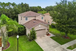30737 White Bird Ave, Wesley Chapel, FL 33543 - Photo 5