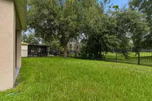 30737 White Bird Ave, Wesley Chapel, FL 33543 - Photo 39