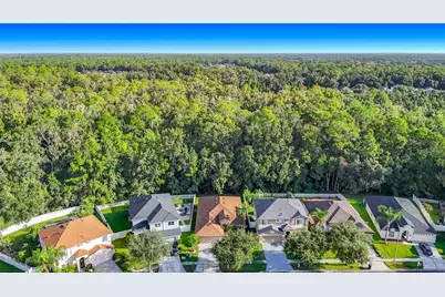 4751 Barchetta, Land O Lakes, FL 34639 - Photo 3