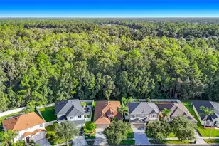 4751 Barchetta, Land O Lakes, FL 34639 - Photo 3
