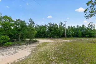 1675 Aspalaga Rd, Quincy, FL 32351 - Photo 43