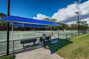 900 Lucas Ln, Oldsmar, FL 34677 - Photo 37