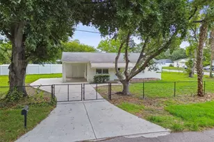 3808 S Grady Ave, Tampa, FL 33611 - Photo 3