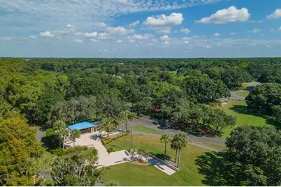 3951 Brightside Lane, Palm Harbor, FL 34685 - Photo 53