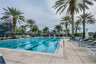 803 Winterside Drive, Apollo Beach, FL 33572 - Photo 49