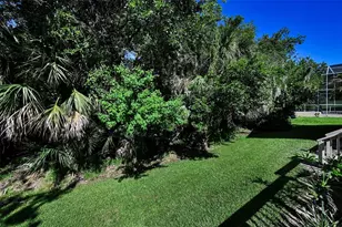 3848 Tarian Ct, Palm Harbor, FL 34684 - Photo 37