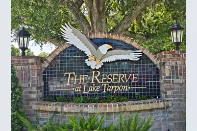 3848 Tarian Court, Palm Harbor, FL 34684 - Photo 5