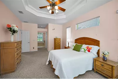 3848 Tarian Court, Palm Harbor, FL 34684 - Photo 21