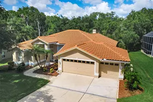 3848 Tarian Ct, Palm Harbor, FL 34684 - Photo 7