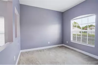 23915 Coral Ridge Lane, Land O Lakes, FL 34639 - Photo 5