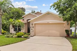 13813 Sigler St, Riverview, FL 33579 - Photo 1