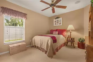 13813 Sigler St, Riverview, FL 33579 - Photo 9