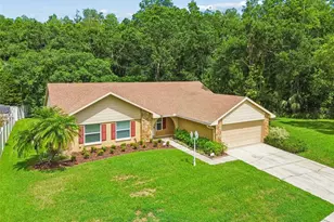 15109 Springview St, Tampa, FL 33624 - Photo 31