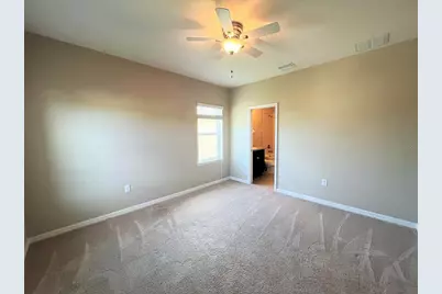 26992 Carolina Aster Drive, Wesley Chapel, FL 33544 - Photo 17