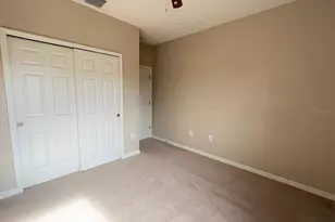 26992 Carolina Aster Dr, Wesley Chapel, FL 33544 - Photo 27