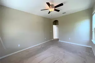 26992 Carolina Aster Dr, Wesley Chapel, FL 33544 - Photo 23