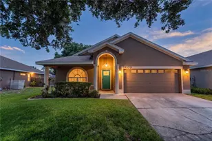 19520 Morden Blush Dr, Lutz, FL 33558 - Photo 1