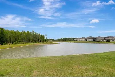 19335 Eagle Creek Lane, Tampa, FL 33647 - Photo 79