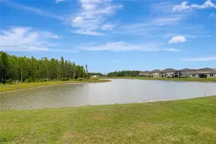 19335 Eagle Crk Ln, Tampa, FL 33647 - Photo 79
