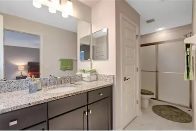 19335 Eagle Creek Lane, Tampa, FL 33647 - Photo 59