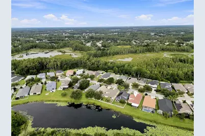 7806 Grasmere Drive, Land O Lakes, FL 34637 - Photo 39
