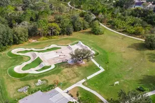 16910 Dorman Rd, Lithia, FL 33547 - Photo 45