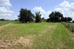 15016 Scant St, Wimauma, FL 33598 - Photo 17