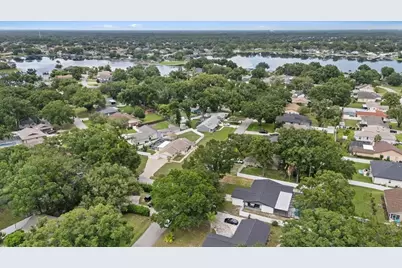 22402 Stillwood Drive, Land O Lakes, FL 34639 - Photo 45