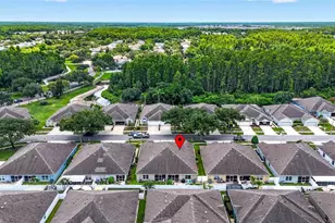 19355 Haskell Pl, Land O Lakes, FL 34638 - Photo 53