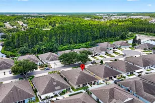 19355 Haskell Pl, Land O Lakes, FL 34638 - Photo 49