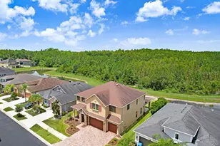 1843 Whitewillow Dr, Wesley Chapel, FL 33543 - Photo 5