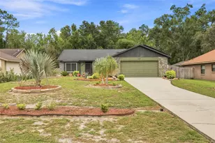 5016 Swallow Dr, Land O Lakes, FL 34639 - Photo 1