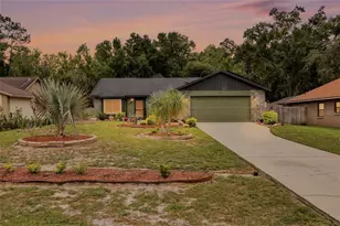 5016 Swallow Dr, Land O Lakes, FL 34639 - Photo 29