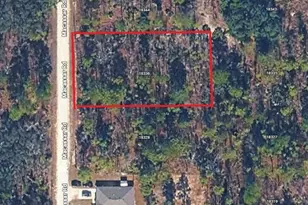 18336 Macassar Rd, Weeki Wachee, FL 34614 - Photo 1