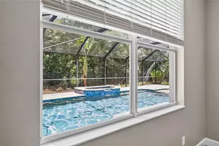 6135 Whimbrelwood Dr, Lithia, FL 33547 - Photo 45
