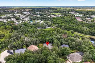 6135 Whimbrelwood Dr, Lithia, FL 33547 - Photo 79