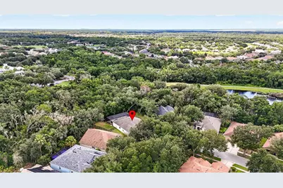 6135 Whimbrelwood Drive, Lithia, FL 33547 - Photo 87