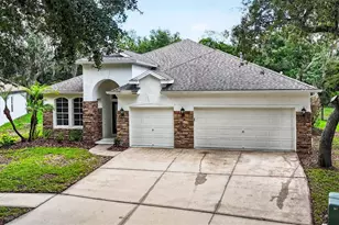 6135 Whimbrelwood Dr, Lithia, FL 33547 - Photo 69
