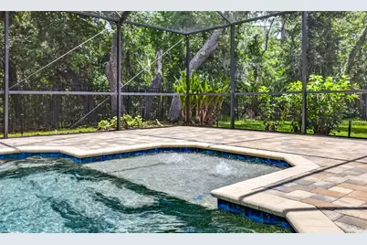 6135 Whimbrelwood Drive, Lithia, FL 33547 - Photo 59