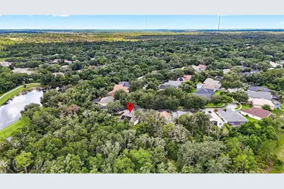 6135 Whimbrelwood Drive, Lithia, FL 33547 - Photo 75