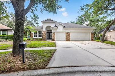 6135 Whimbrelwood Drive, Lithia, FL 33547 - Photo 61