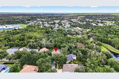 6135 Whimbrelwood Drive, Lithia, FL 33547 - Photo 83