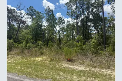 2812 W Edison Place, Citrus Springs, FL 34433 - Photo 5