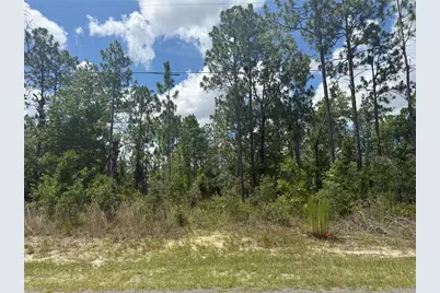 2812 W Edison Place, Citrus Springs, FL 34433 - Photo 3